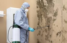 Professional Mold Inspection in Quartzsite, AZ